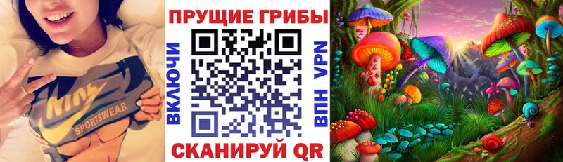 mega зеркало  Бавлы  Псилоцибиновые грибы Psilocybe 